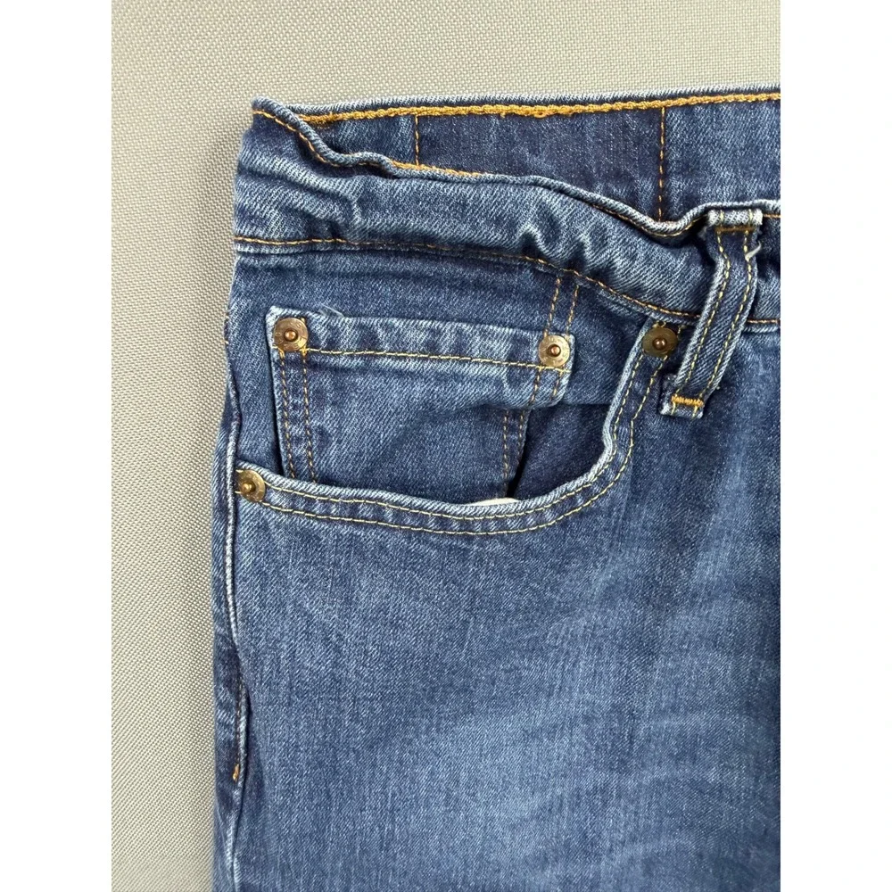 Levis levi strauss